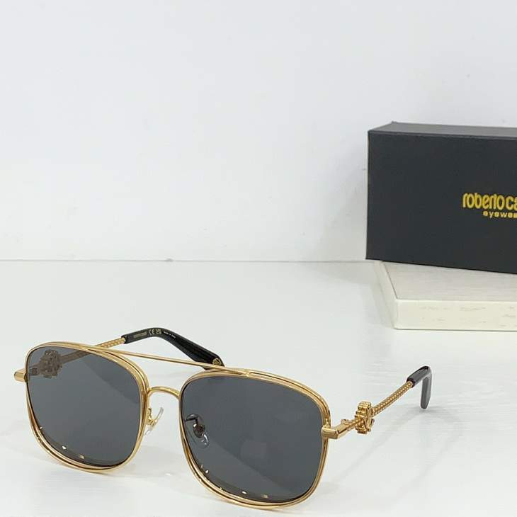 Picture of Roberto Cavalli Sunglasses _SKUfw64811435fw